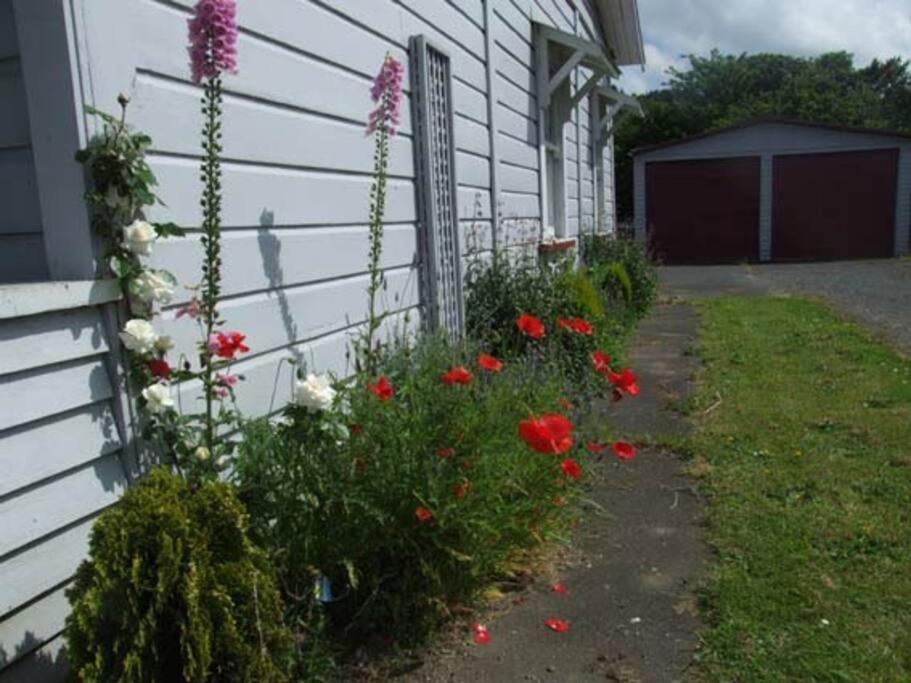 Riverlea Cottage - Cosy, Comfy, Quiet, Central Taumarunui Eksteriør bilde